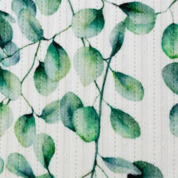 Baumwoll Rippjersey Valencia Eukalyptus by Swafing